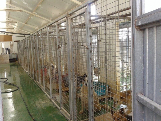 Asociación únicos shelter 05.jpg